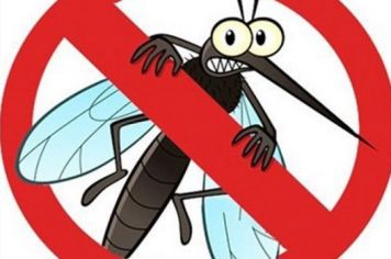 BOLETIM EPIDEMIOLÓGICO - 13/07/2020 - DENGUE