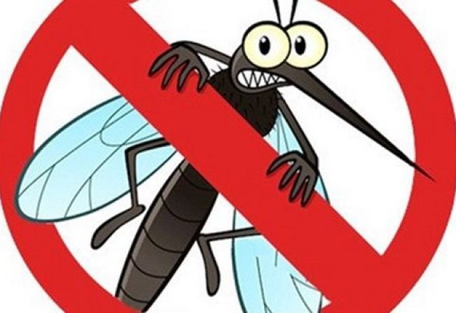 BOLETIM EPIDEMIOLÓGICO - 30/06/2020 - DENGUE