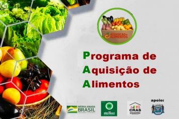  Programa de Aquisição de Alimentos (PAA)