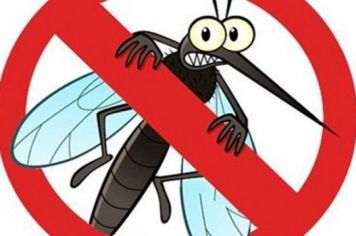 BOLETIM EPIDEMIOLÓGICO - 24/06/2020 - DENGUE