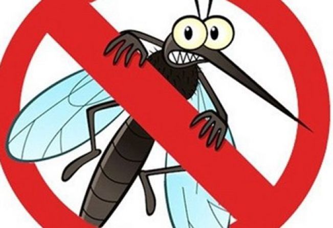 BOLETIM EPIDEMIOLÓGICO - 20/07/2020 - DENGUE