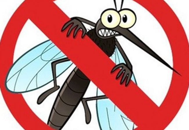 BOLETIM EPIDEMIOLÓGICO - 27/07/2020 - DENGUE